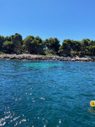 Appartement Luxueux 150M2 - Cannes Kültér fotó